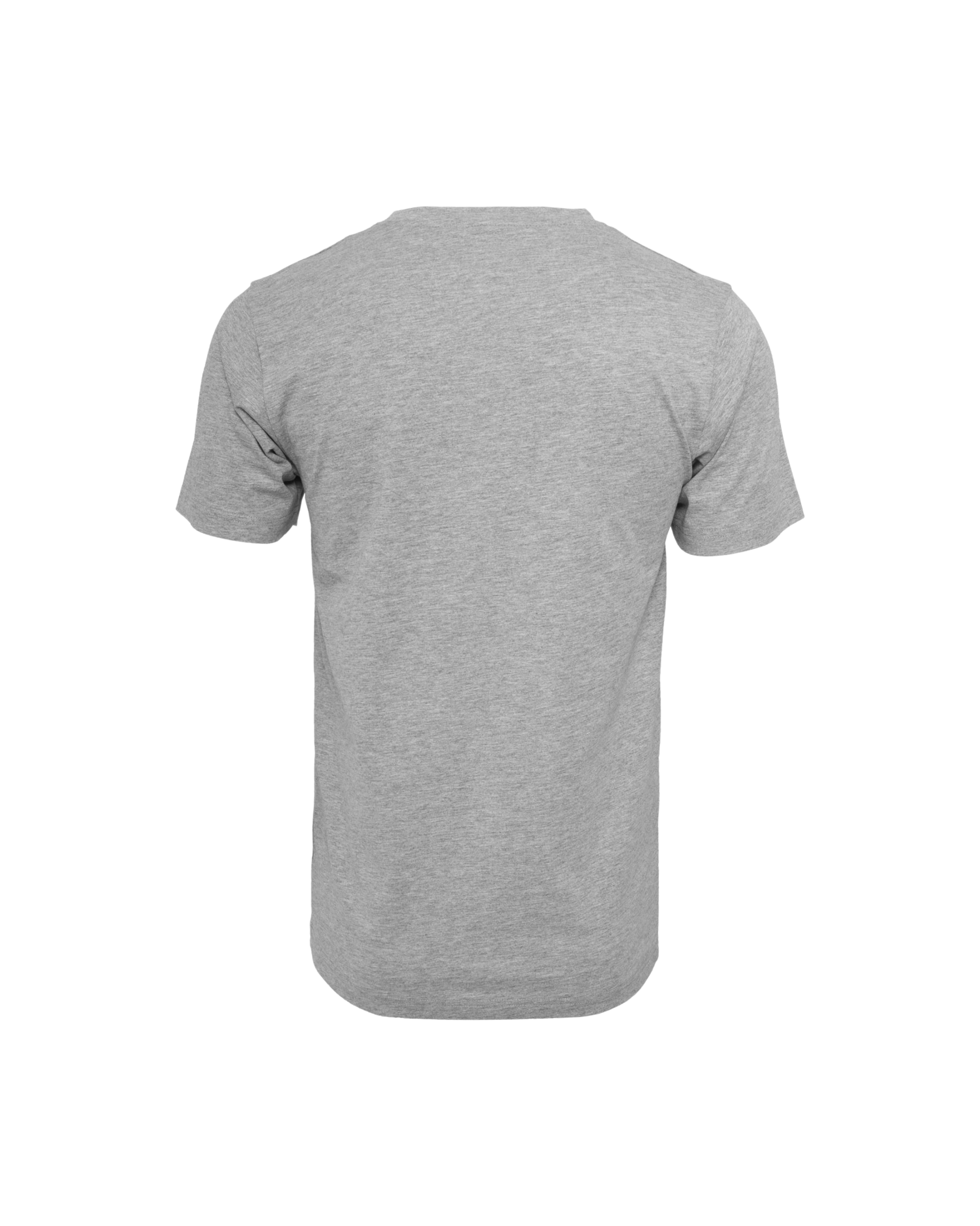 T-Shirt inkl Druck in grey